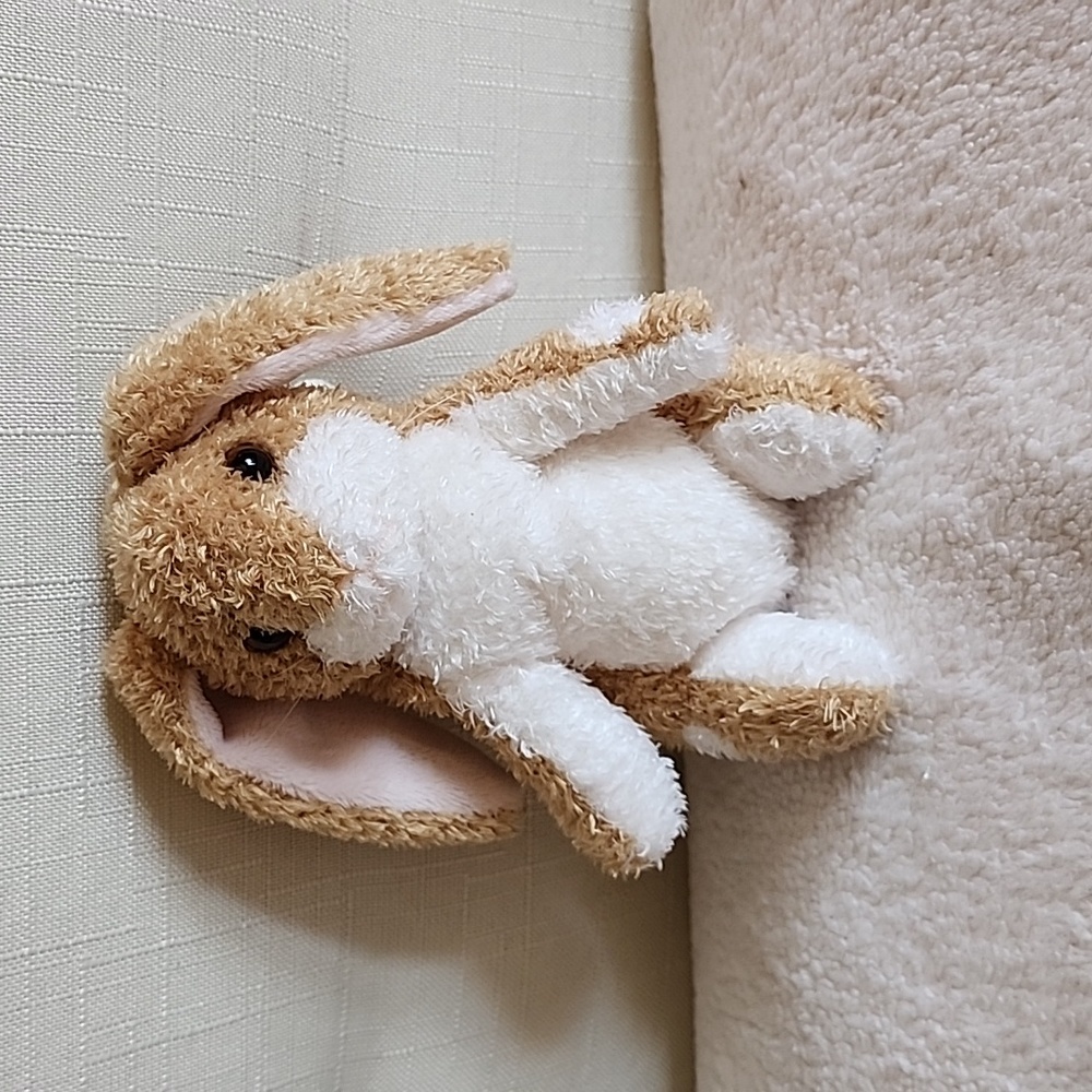 Polka Dot Bunny - Tan & White